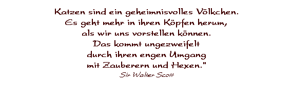 Textfeld: Katzen sind ein geheimnisvolles Vlkchen. 
Es geht mehr in ihren Kpfen herum, 
als wir uns vorstellen knnen. 
Das kommt ungezweifelt 
durch ihren engen Umgang 
mit Zauberern und Hexen." 
Sir Walter Scott
